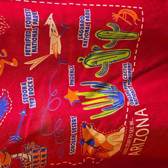 Hanes Cool Stuff to See in Arizona Youth Graphic Short Sleeve Tee - Picture 3 of 8